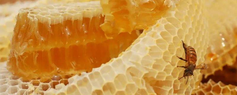 蜂蜜多少钱一斤才是真的，真蜂蜜为什么很贵