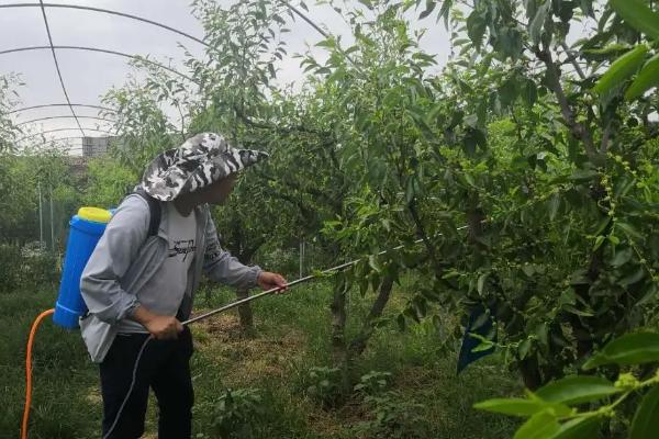 氟氯氰菊酯对人体有何危害