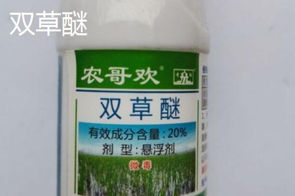 有哪些水稻苗后除草剂