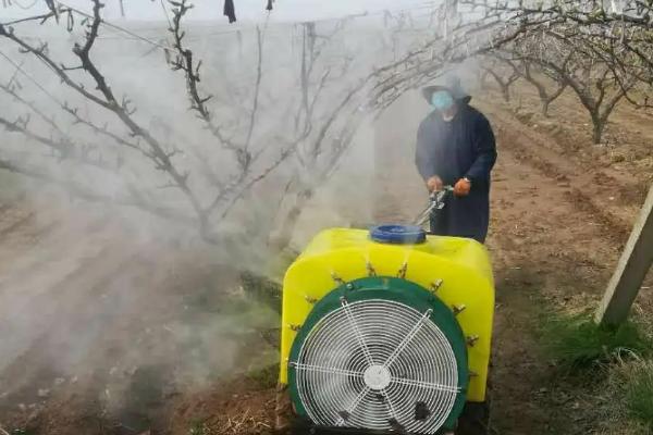 氢氧化铜主治的病害有哪些