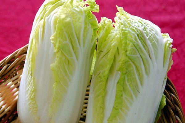 种大白菜的方法和步骤，如何在家中成功种植健康的大白菜