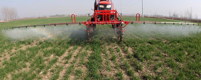 防治小麦杂草的时期，10-11月份为除草适期