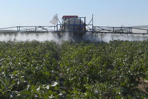 棉花黄萎病的防治措施，需增加有机质肥料的投入