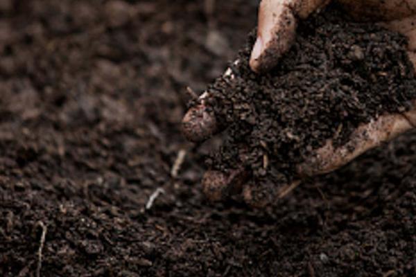 什么是测土配方施肥，通称平衡施肥